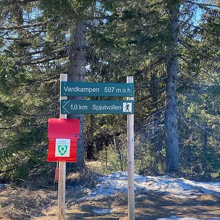 Cozy In - Oyer Centre