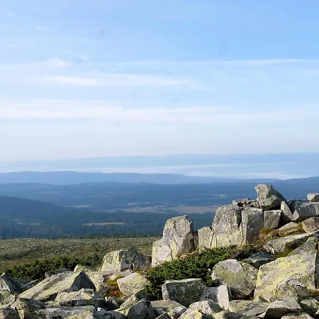 Lejlighed Cozy In - Oyer Centre