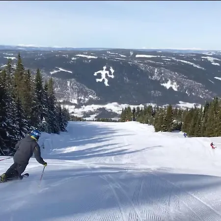 Cozy In - Oyer Centre شقة