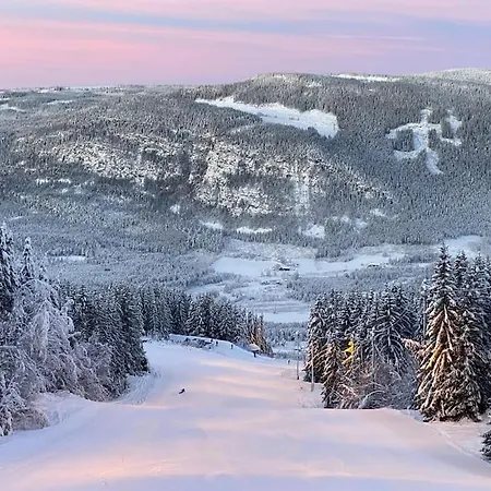 Cozy In - Oyer Centre Lejlighed Hafjell
