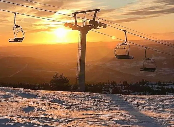 Cozy In - Oyer Centre