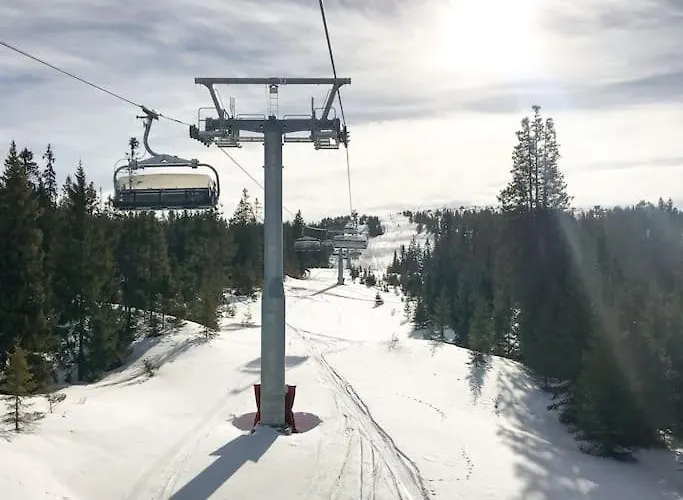 Cozy In - Oyer Centre