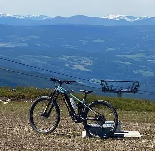 Apartament Cozy In - Oyer Centre *