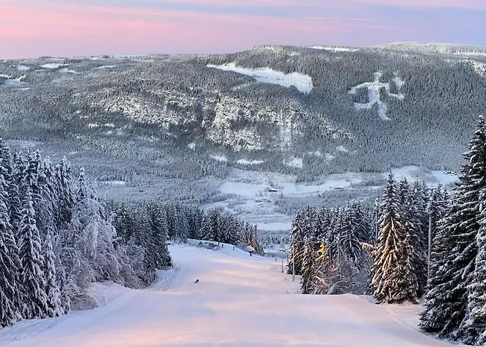 Cozy In - Oyer Centre Lägenhet Hafjell